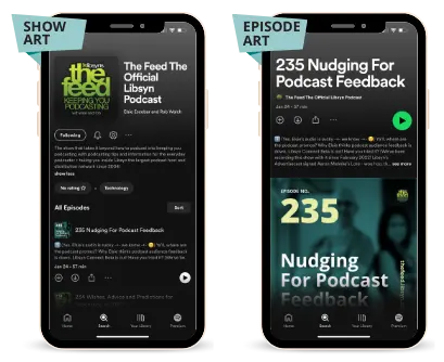 Image showing the difference between overall podcast show art and podcast episode art that is specific to each release published. The podcast “The Feed” is used as an example.